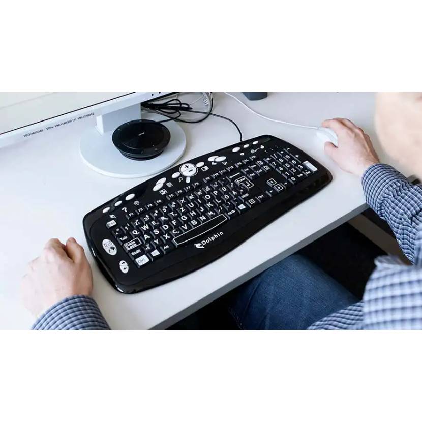 Dolphin large print keyboard in use