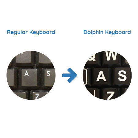 Dolphin keyboard keys compared to standard keyboard