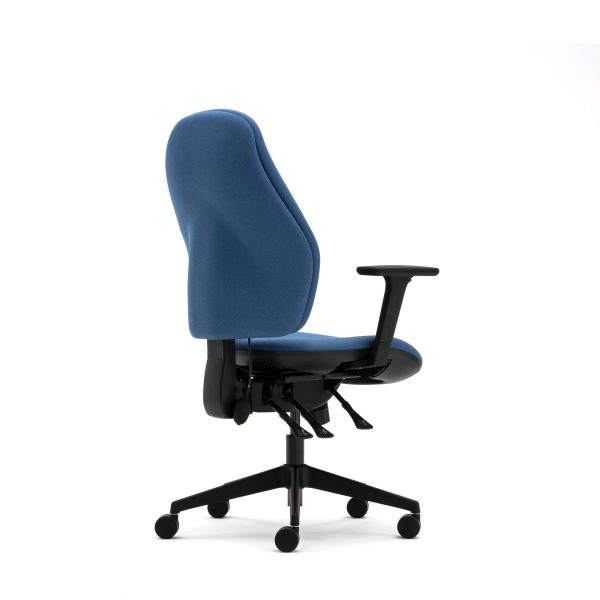 Orthopaedica high back posture chair, height adjustable arms, ILS, SS - Image 4