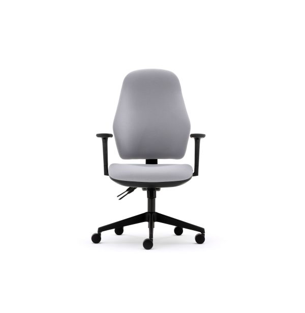 Orthopaedica high back posture chair, height adjustable arms, ILS, SS - Image 6