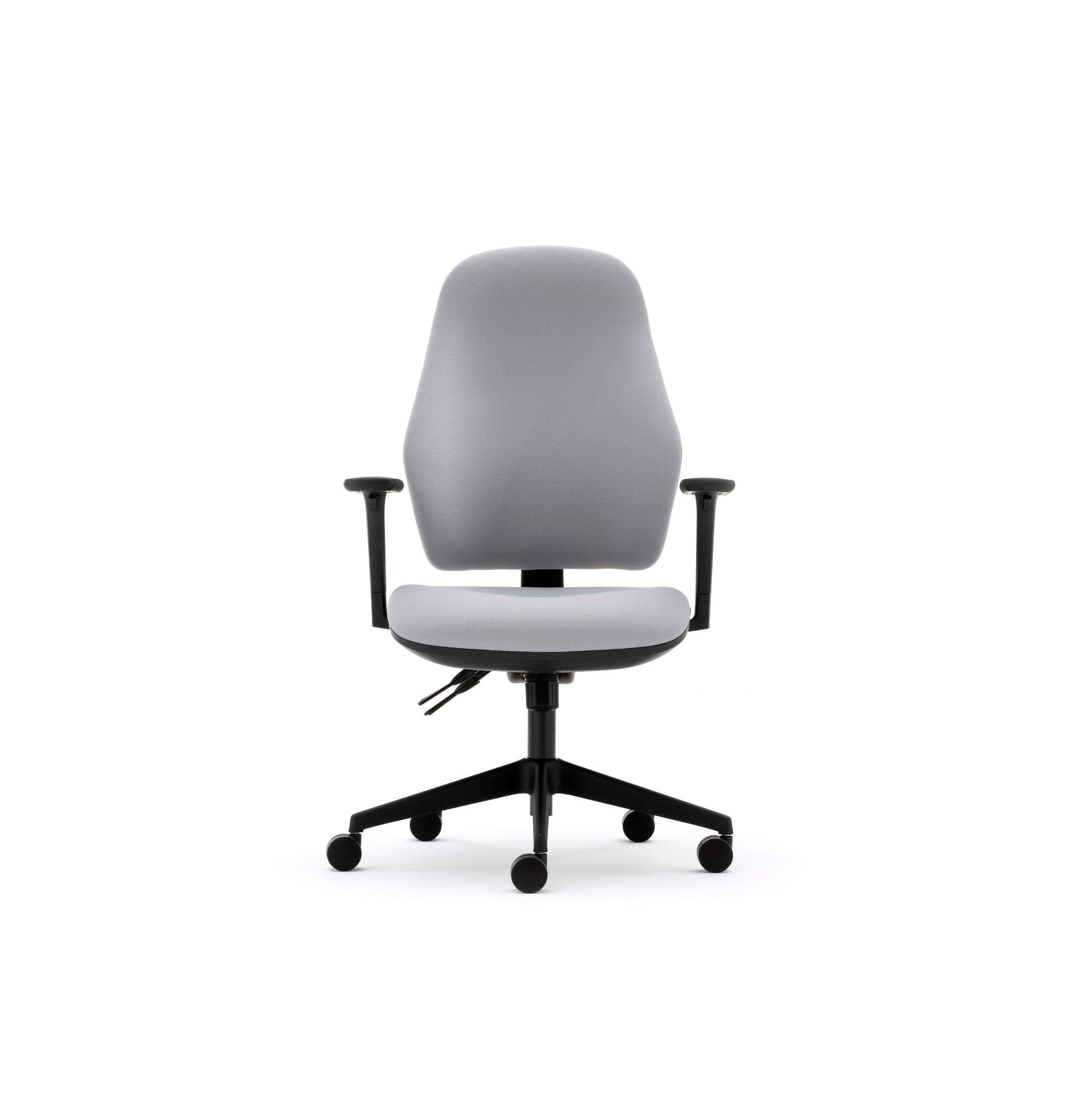 Orthopaedica high back posture chair, height adjustable arms, ILS, SS - Image 6