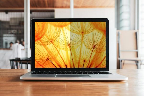 3M Bright Screen Privacy Filter for 14 inch laptop 16:9