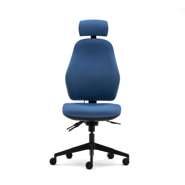 Orthopaedica high back posture chair, headrest, no arms, ILS, SS