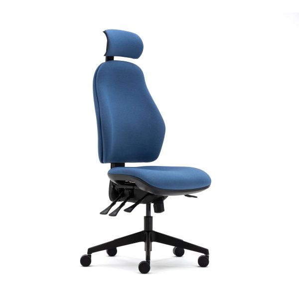 Orthopaedica high back posture chair, headrest, no arms, ILS, SS - Image 2