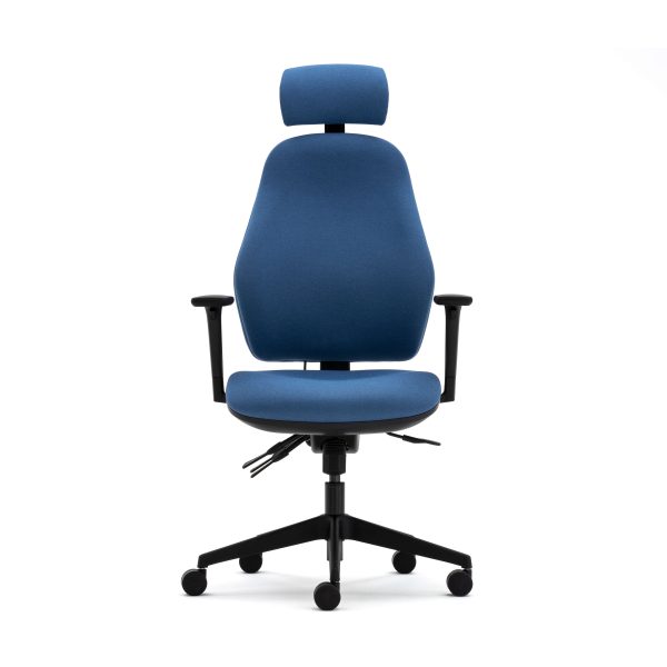 Orthopaedica high back posture chair, headrest, height adjustable arms, ILS, SS