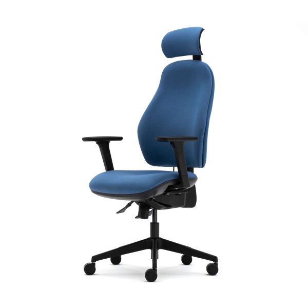 Orthopaedica high back posture chair, headrest, height adjustable arms, ILS, SS - Image 5