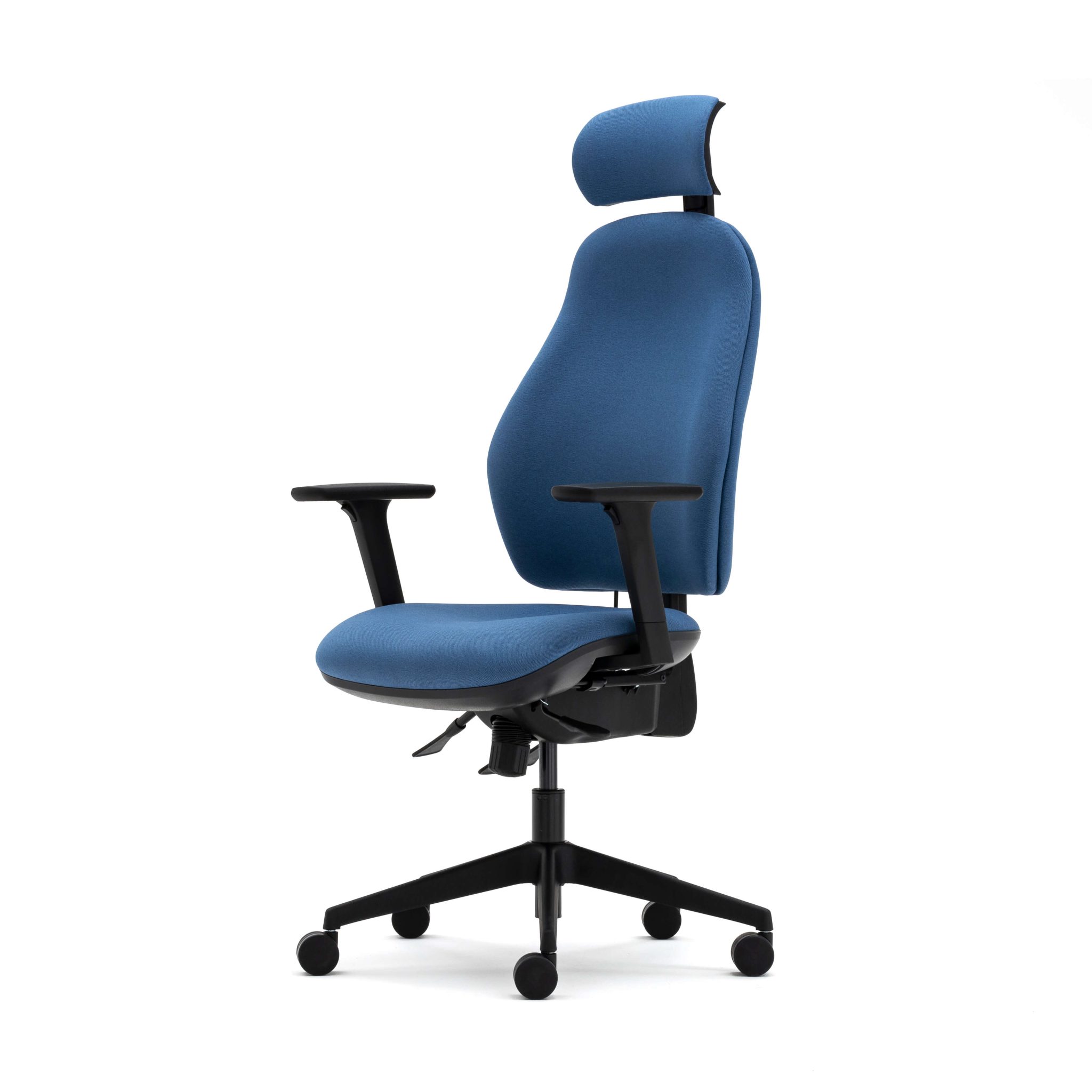 Orthopaedica high back posture chair, headrest, height adjustable arms, ILS, SS - Image 5