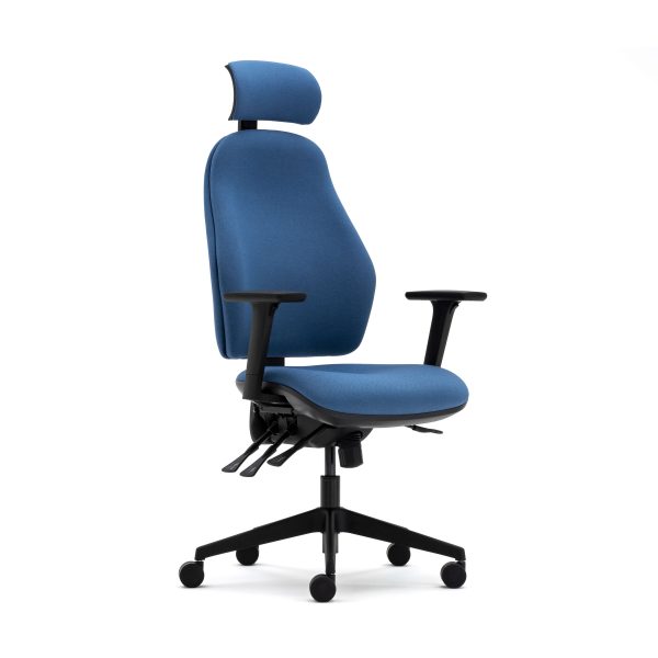 Orthopaedica high back posture chair, headrest, height adjustable arms, ILS, SS - Image 2