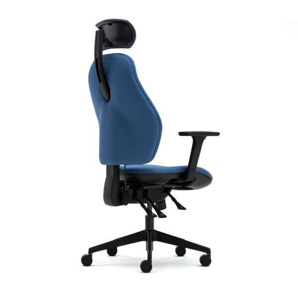 Orthopaedica high back posture chair, headrest, height adjustable arms, ILS, SS - Image 4