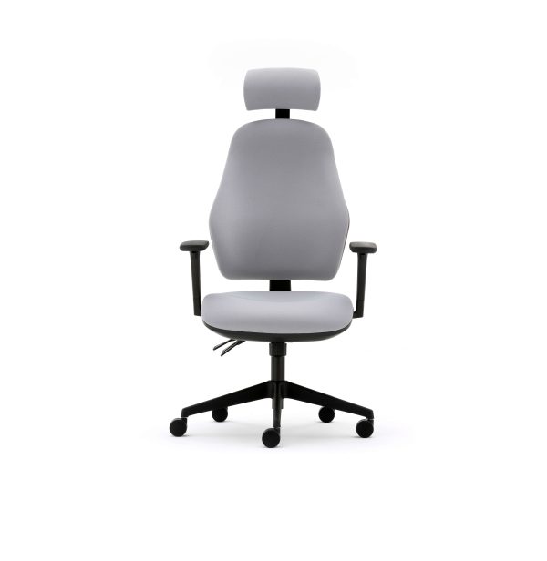 Orthopaedica high back posture chair, headrest, height adjustable arms, ILS, SS - Image 6