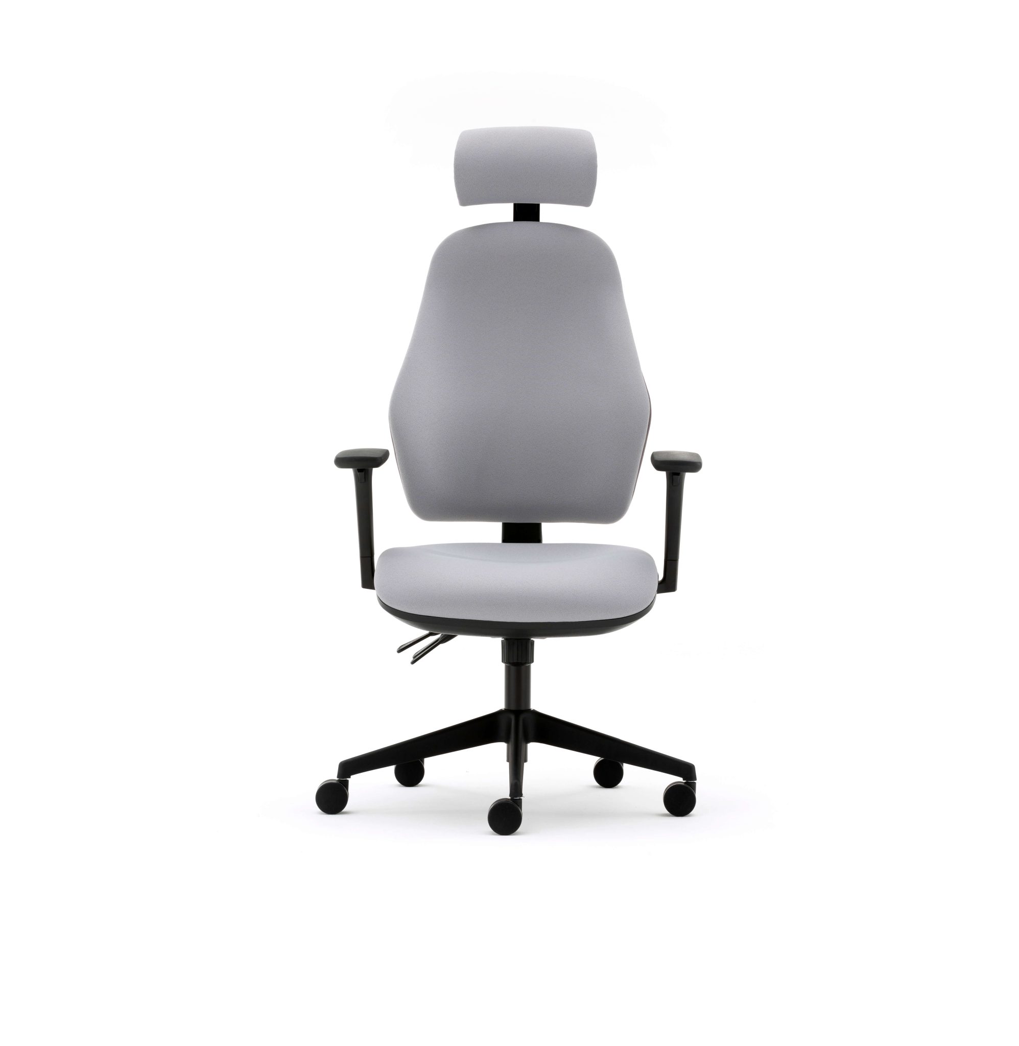 Orthopaedica high back posture chair, headrest, height adjustable arms, ILS, SS - Image 6