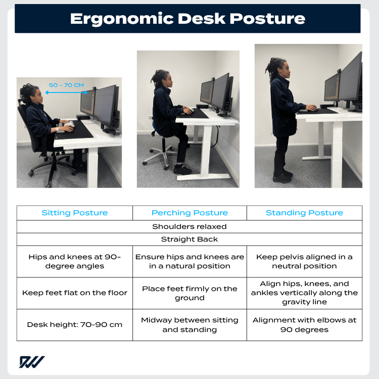 Standing Desk Posture Infographic