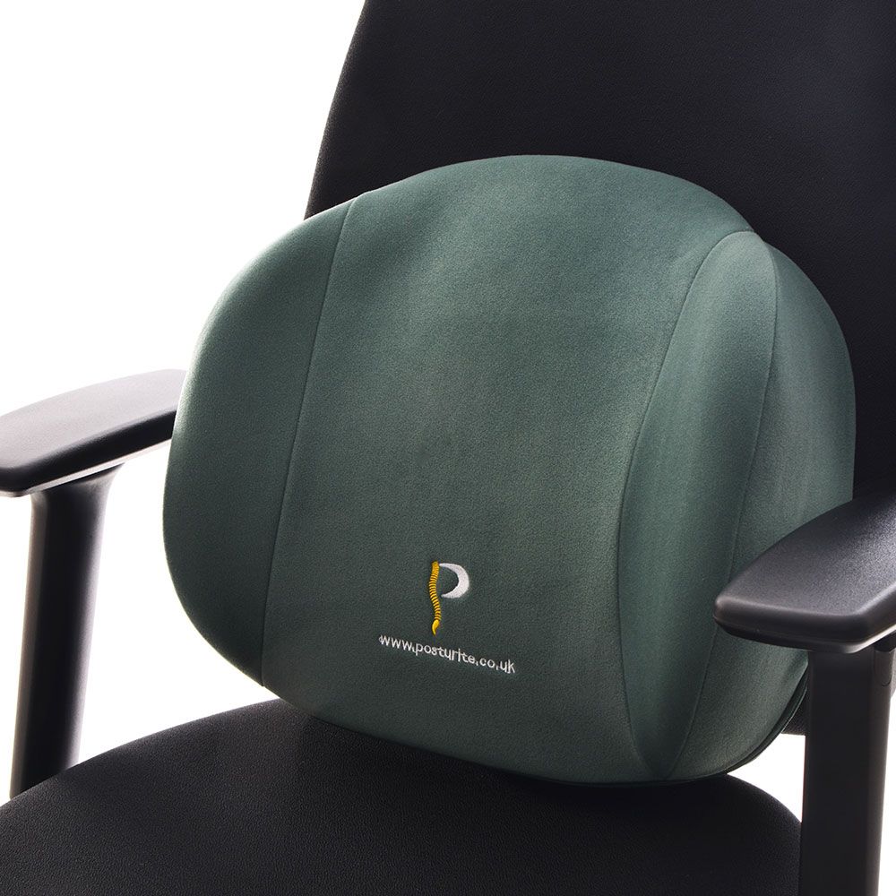 Posturite Back Support