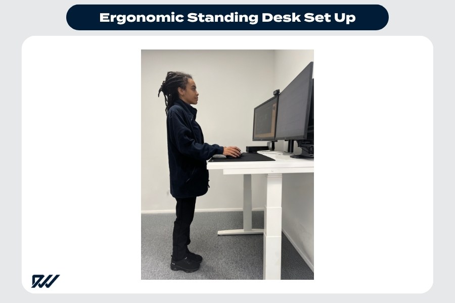 Ergonomic standing Desk Set up