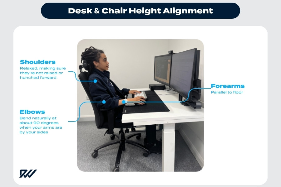 Person seated at a desk with chair and desk height adjusted for ergonomic alignment.