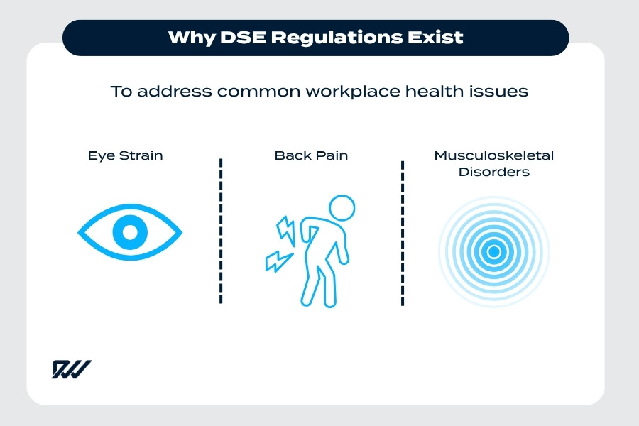 Infographic explaining why DSE regulations exist, showing icons for eye strain, back pain and musculoskeletal disorders as common workplace health issues.
