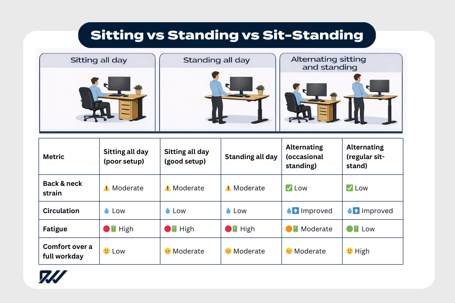 Comparison infographic showing sitting all day, standing all day, and alternating sitting and standing, with a table comparing strain, circulation, fatigue and comfort.