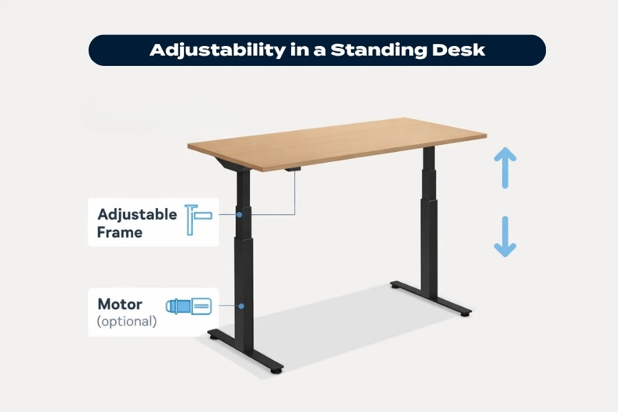 Infographic showing a standing desk with an adjustable frame and optional motor for height adjustment.