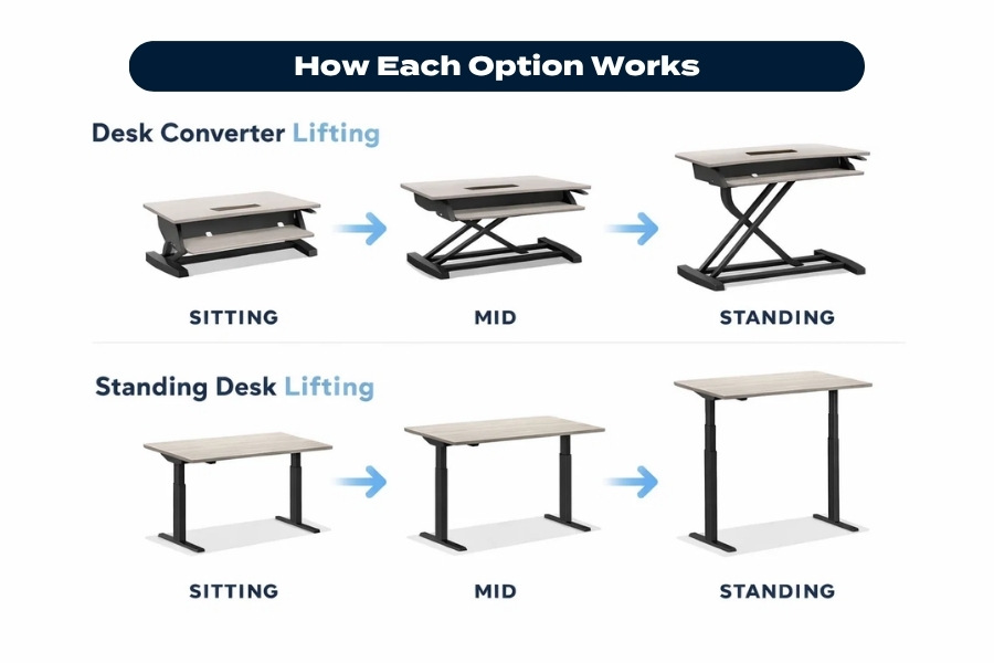 Infographic showing how a desk converter and a standing desk adjust from sitting to standing positions in stages.