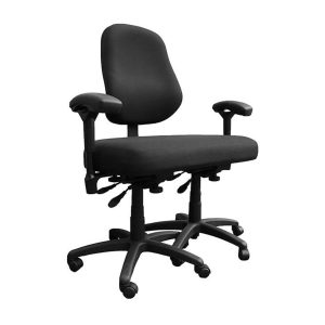 BodyBilt Double Bariatric Chair
